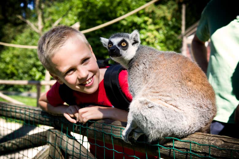Meet the park's animals