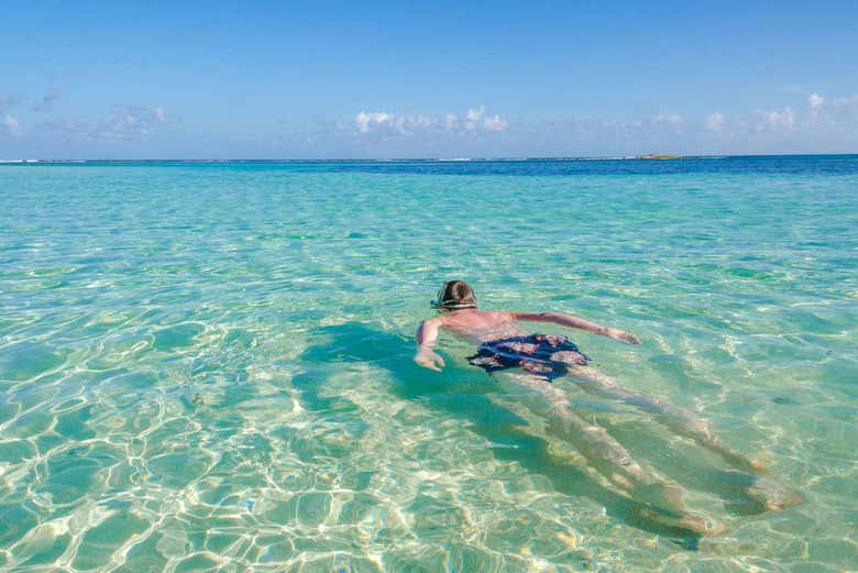 Snorkel en la Reserva Marina de Hol Chan