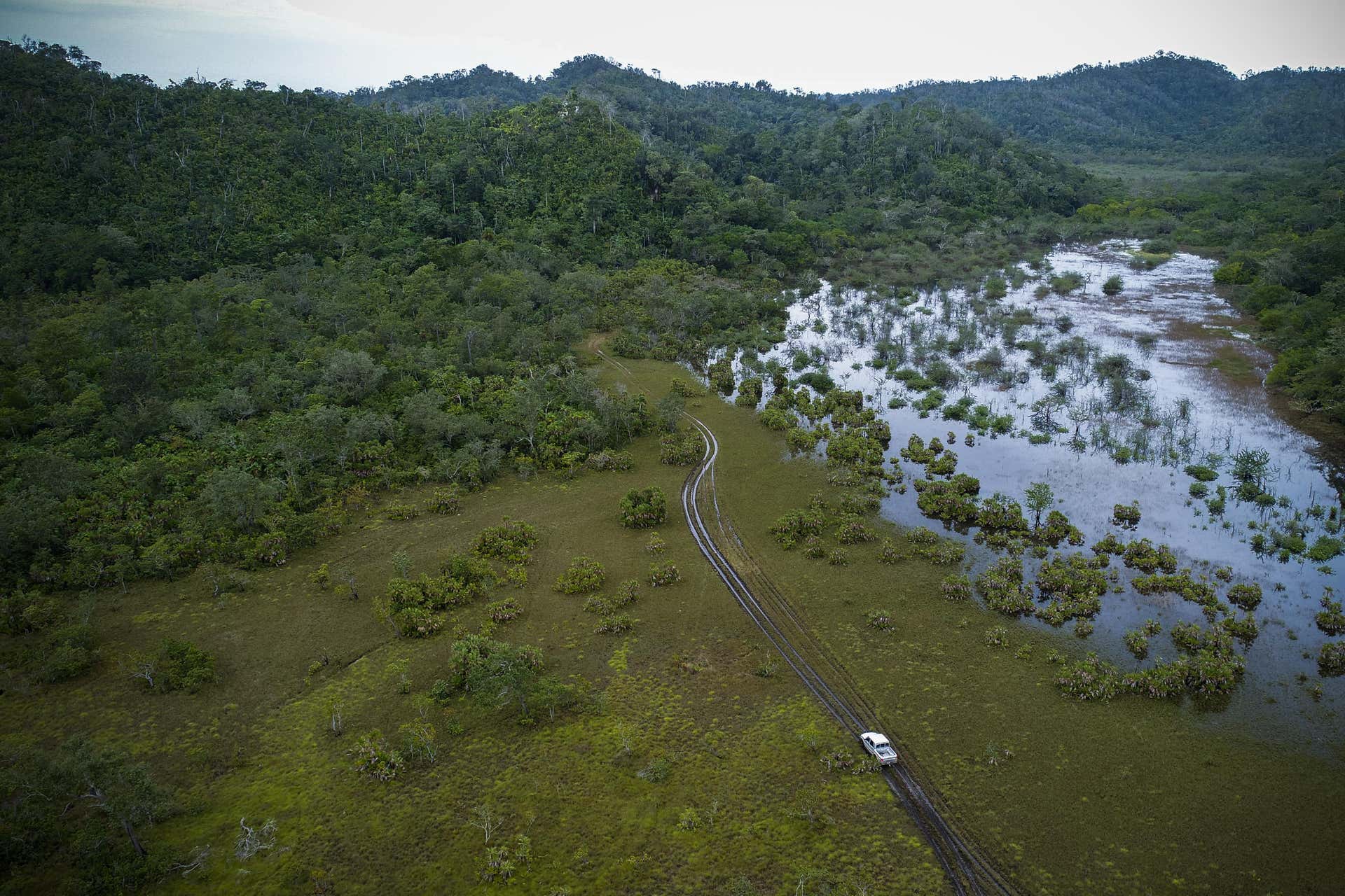 Crooked Tree Wildlife Sanctuary Day Trip from Belize City