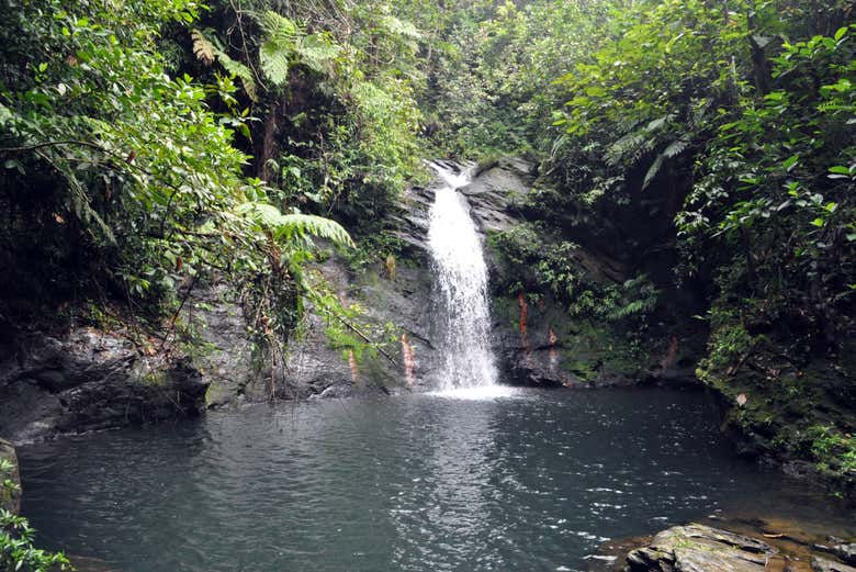 Waterfall in the Cockscomb Basin Widllife Sanctuary