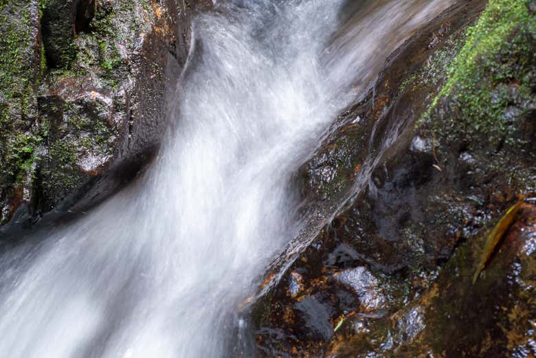 Torrente das cascatas Mayan King