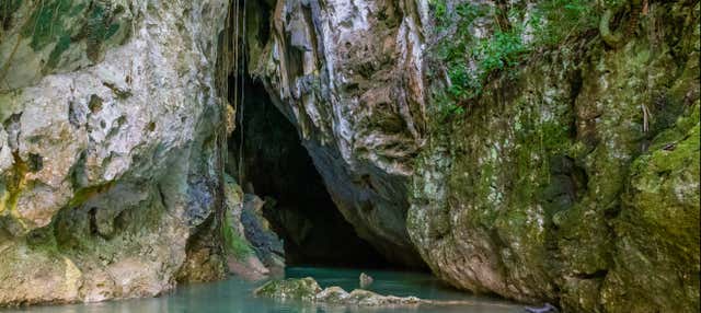 Excursión a Barton Creek