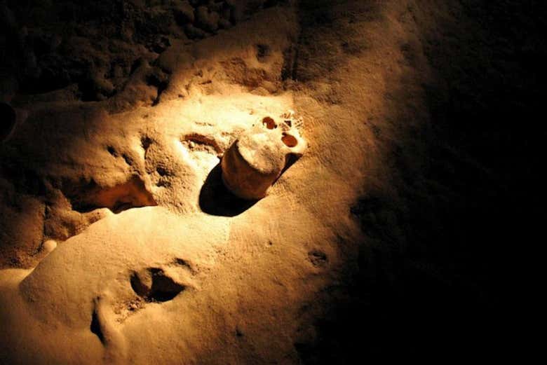 Un crâne retrouvé dans la grotte