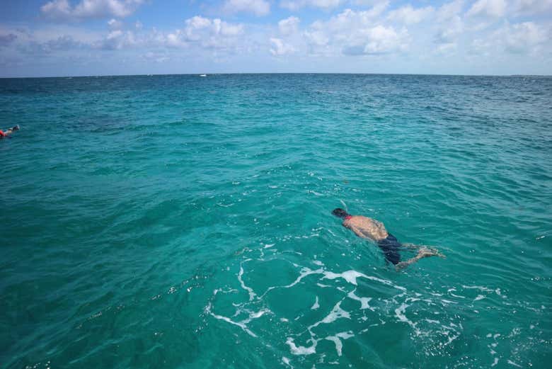 Admirando el mundo subacuático