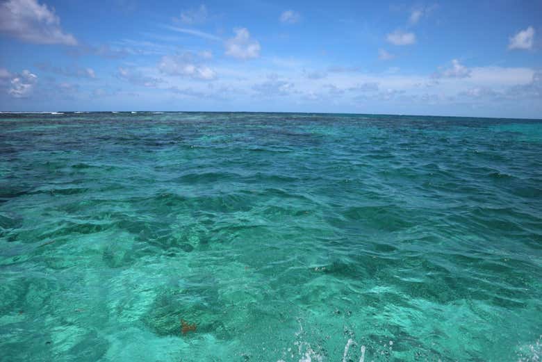 Cristalinas aguas de Hol Chan