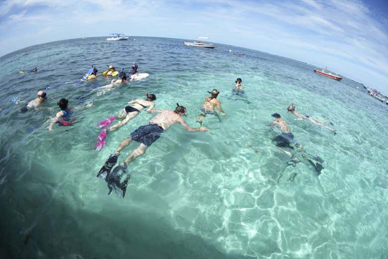 Haciendo snorkel en las cristalinas aguas