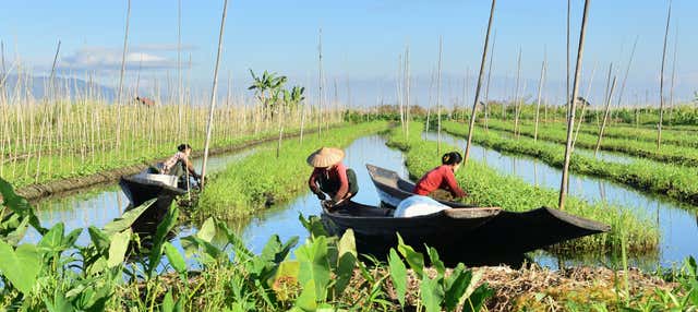 Paseo en barca por el lago Inle