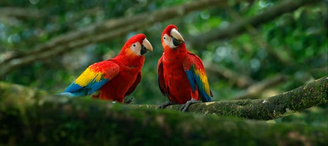 Escursione ad Agroflori e Villa Albina