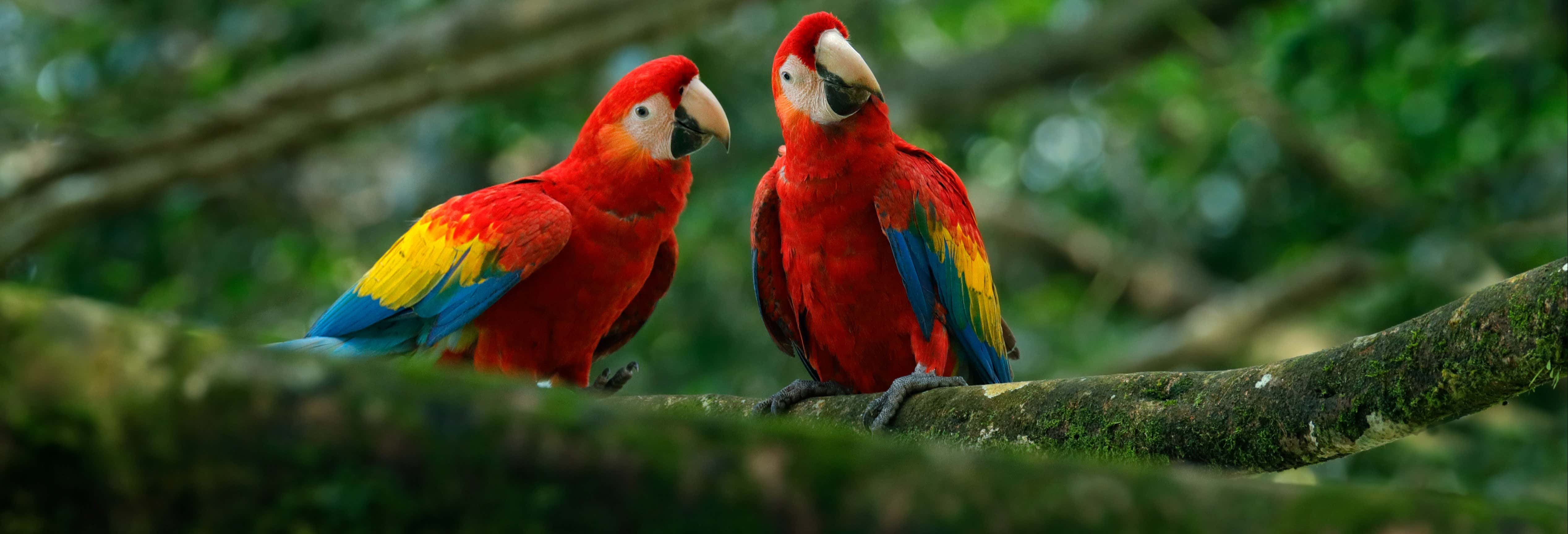 Excursões de um dia em Cochabamba