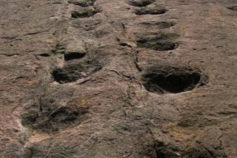 Huellas de dinosaurio
