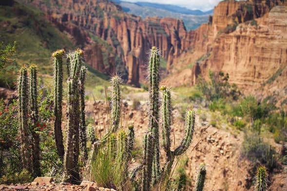 THE 10 BEST Day Trips from La Paz (UPDATED 2023) - Tripadvisor