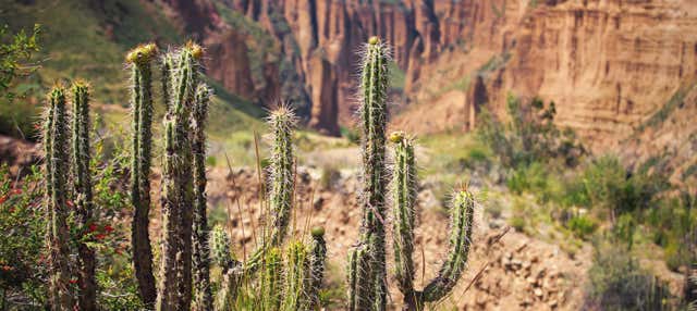 Excursion à Valle de las Ánimas et au Canyon Palca