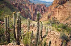 Excursion à Valle de las Ánimas et au Canyon Palca
