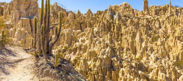 Excursão ao Valle de la Luna e à montanha Chacaltaya