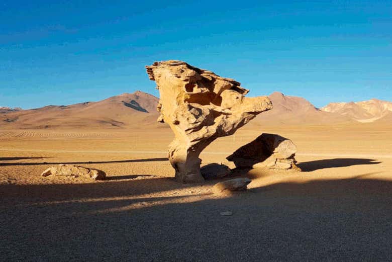 Desierto de Salvador Dalí