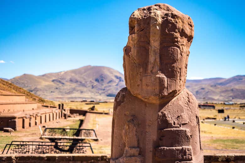 ¡Será una experiencia emocionante!
