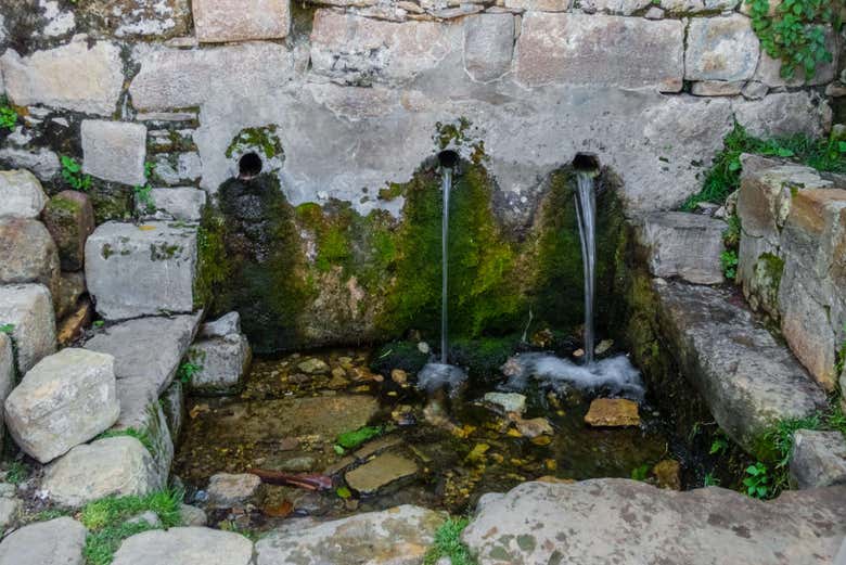 La Fuente de la Eterna Juventud