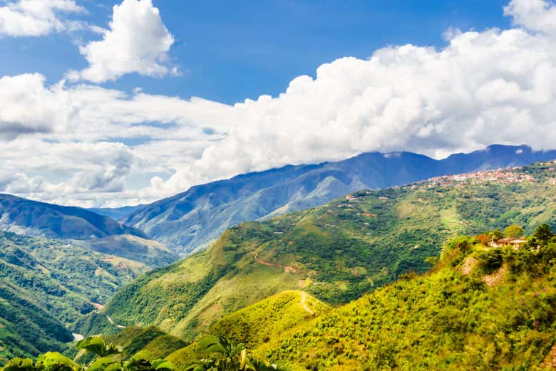 Región de Los Yungas