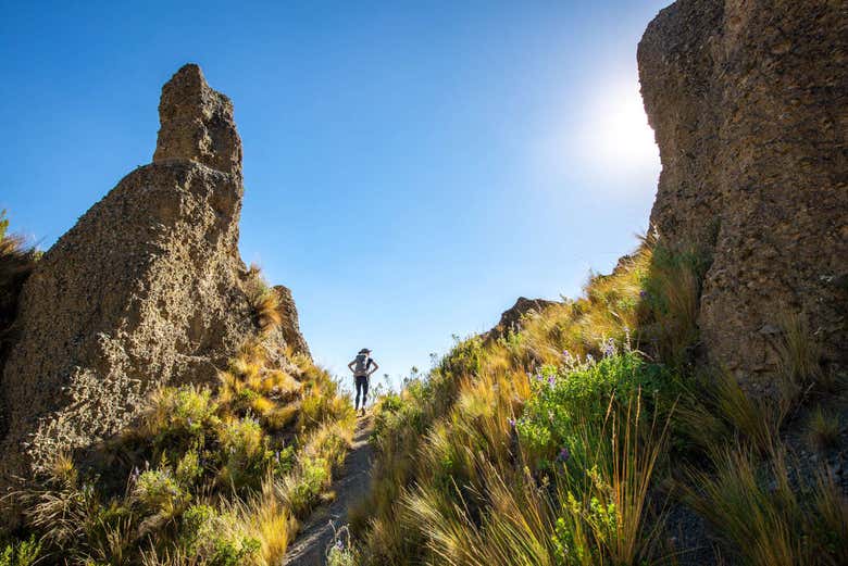 Paseo por el Cañón Palca