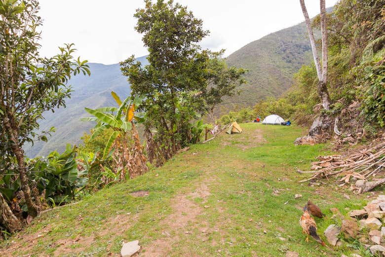 Acampando nas montanhas