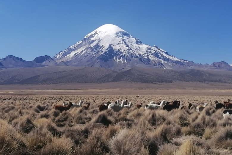 Paisajes de Sajama