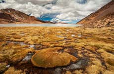 Tour de 2 días por el Parque Nacional Sajama