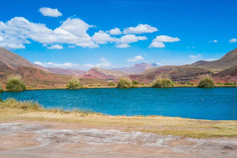 Aguas termales del Ojo del Inca
