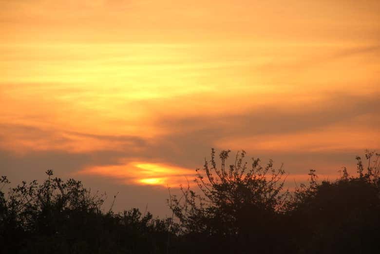 Coucher de soleil sur la jungle bolivienne