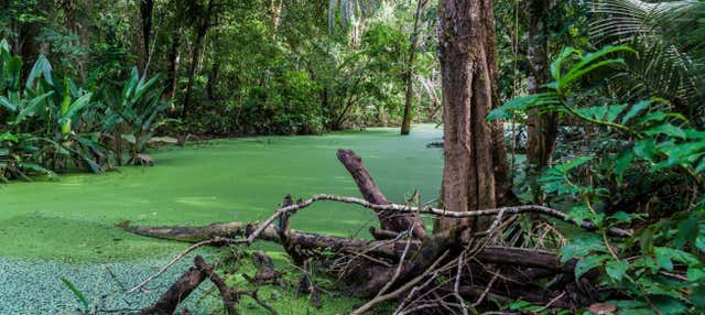 Madidi Park and Yacuma Pampas 5 day Trip