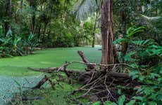 Parque Madidi y Pampas del Yacuma en 5 días
