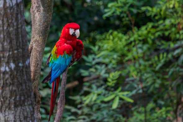 Excursión al Biocentro Güembé
