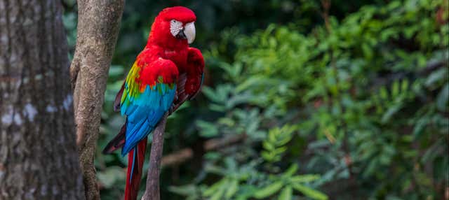 Güembé Biocentre Day Trip