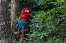 Excursão ao Biocentro Güembé