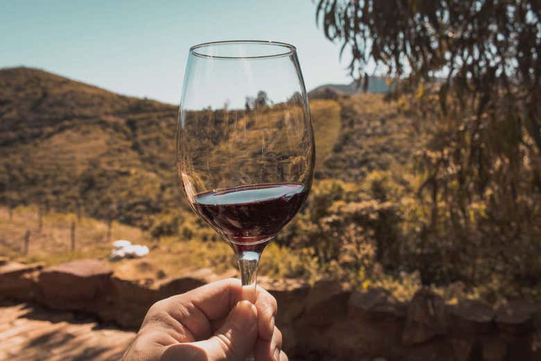 Ruta del vino