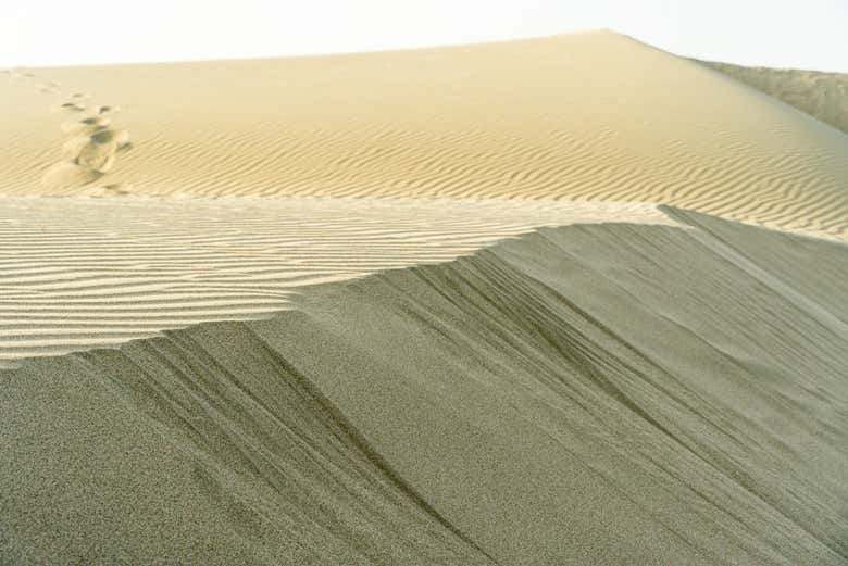 Dunas de arena