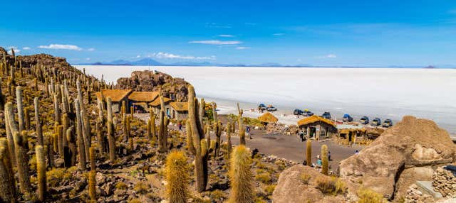 Excursión al Salar de Uyuni en autobús nocturno