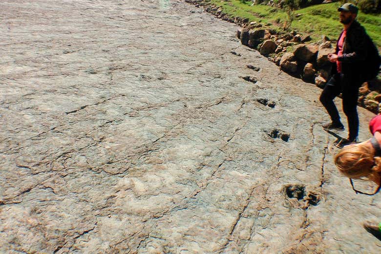 Découvrez Niñu Mayu