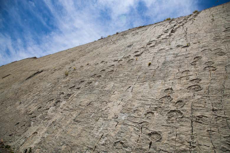 Excursión a Cal Orcko