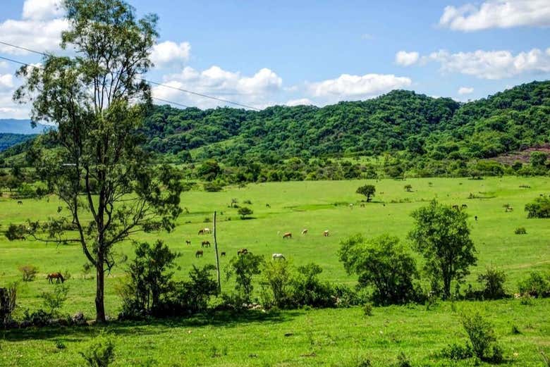 Le praterie della valle del Medio