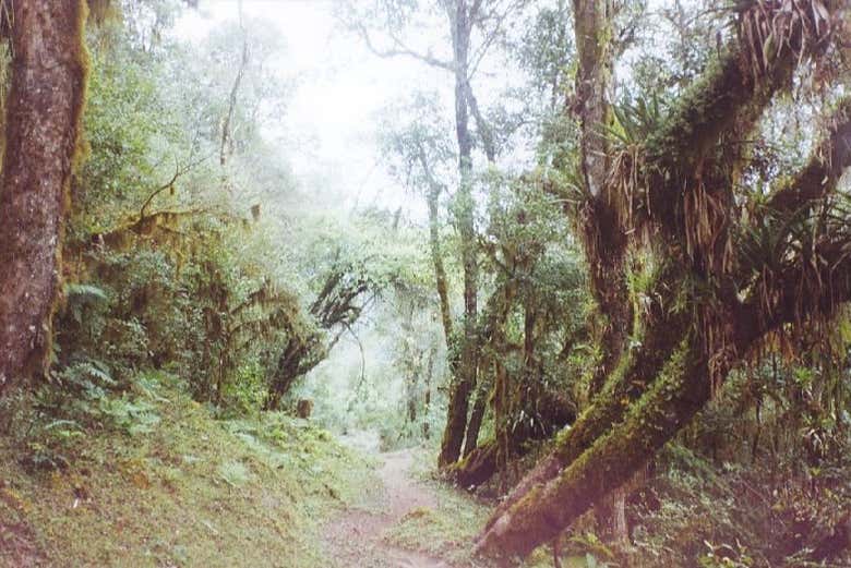 I sentieri della Riserva nazionale di Tariquía