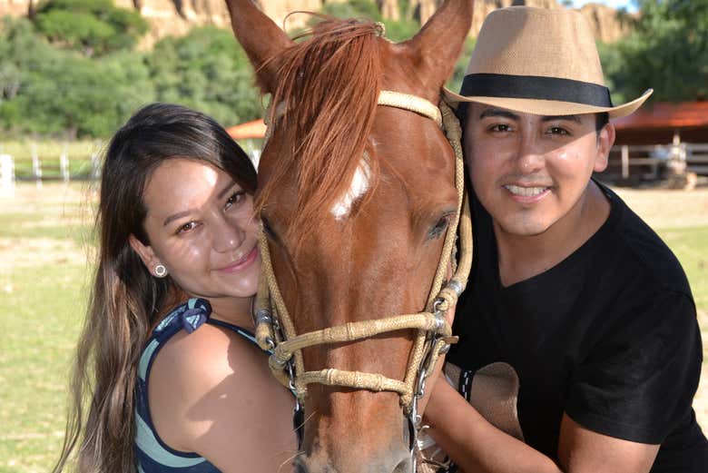 Uno dei cavalli della tenuta