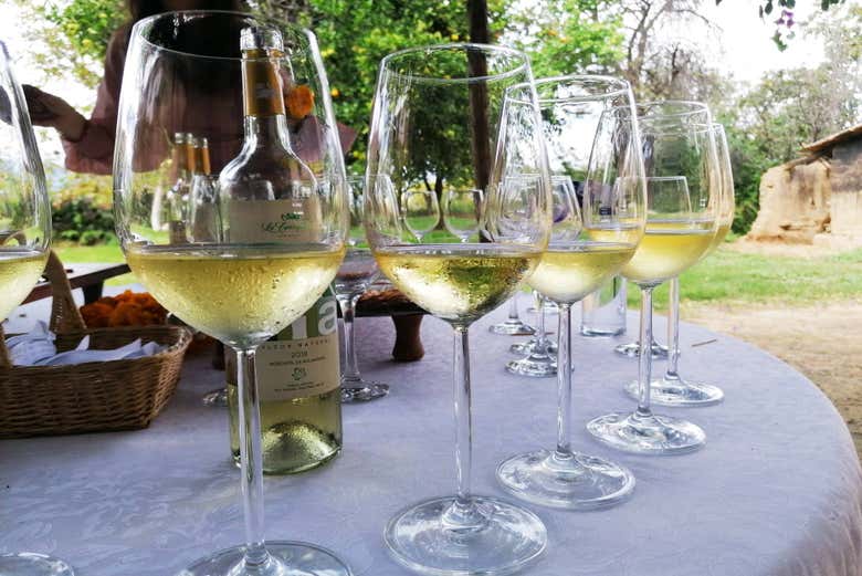 ¡Hora de probar los vinos!