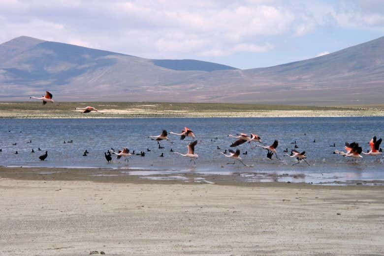Laguna Grande di Tajzara