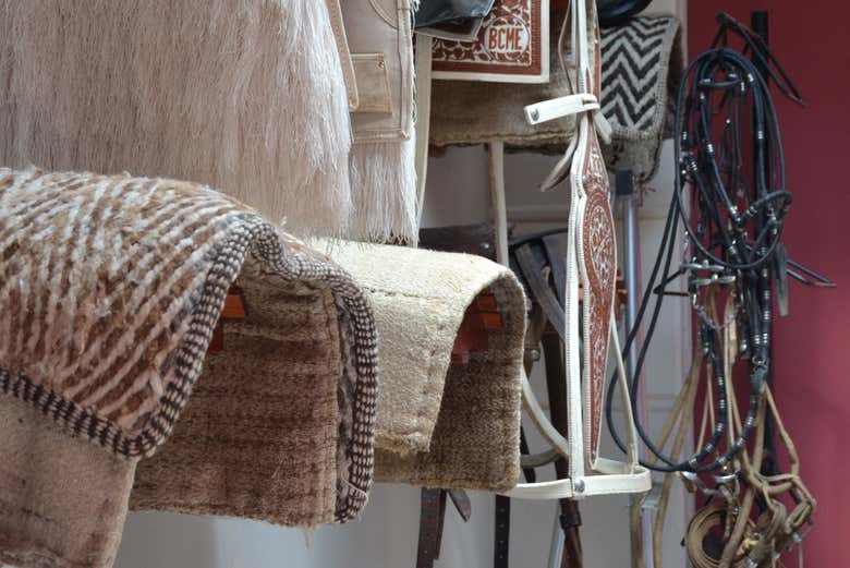 Le selle e le redini