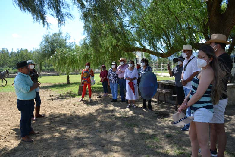 Horse ranch tour in San Lorenzo