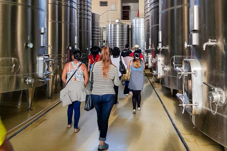 Visitando las diferentes salas