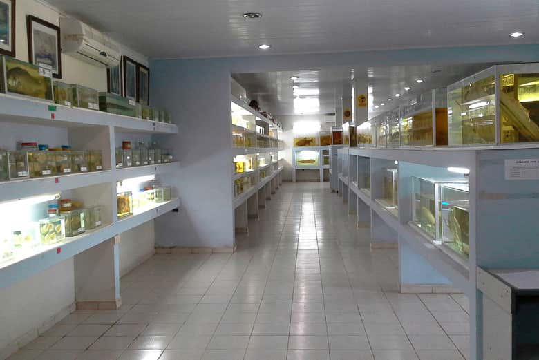 Exhibition at the Fish Fauna Museum