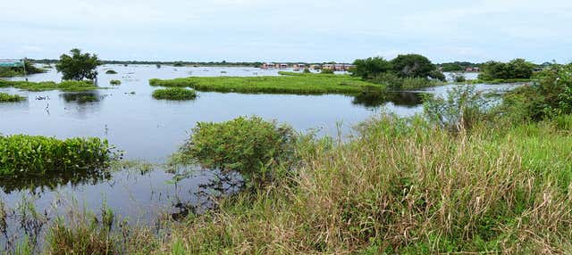Tour por el Área Protegida Ibare-Mamoré