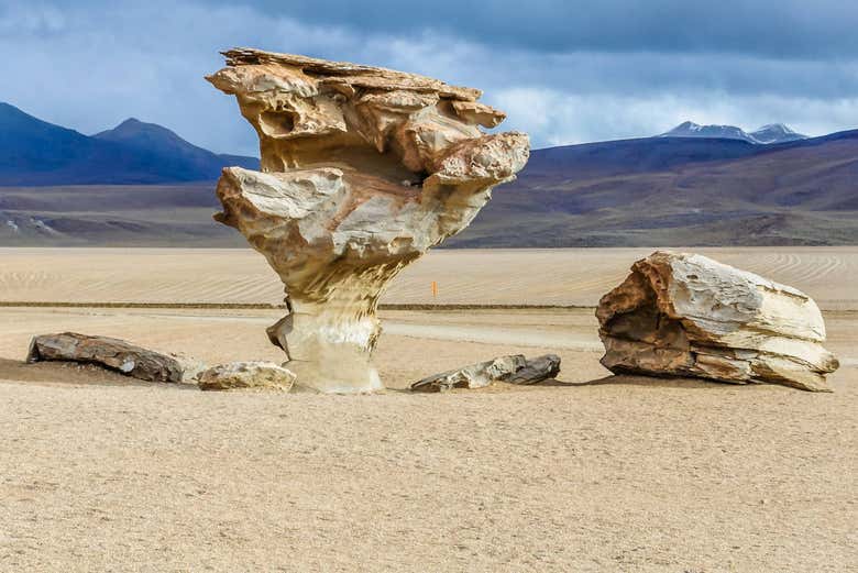 Árbol de Piedra en el Desierto Siloli