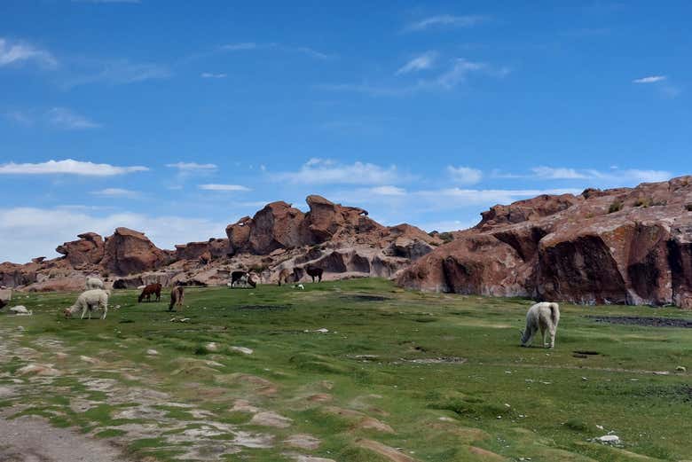 I paesaggi che vedremo